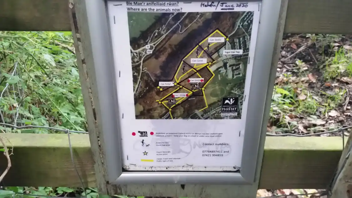 Hotels near Eithinog North Wales Wildlife Trust Nature Reserve