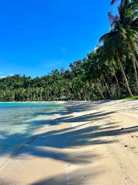 サン ヴィチェンテ