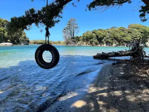 Cape Farewell Horse Treks