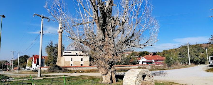 Mosque Radanje