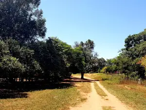 Plaza San Pablo