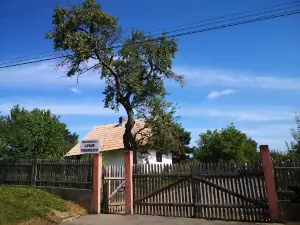 Casa Memorială „Ciprian Porumbescu”