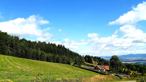 Swimming pool - Ostrov