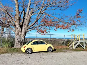 Quarry View