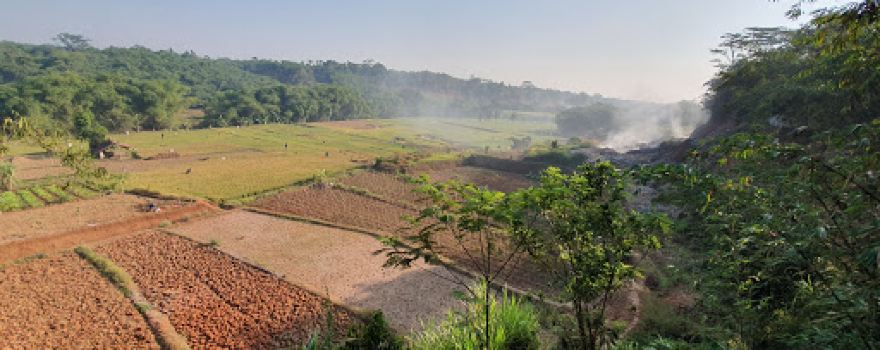 Warung Bondol