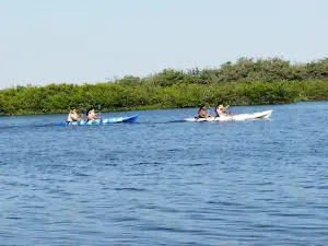 Manglares de Chulliyache