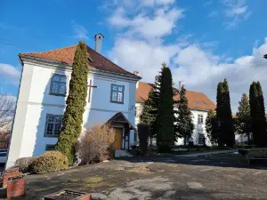 Patkó
