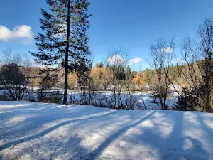 Robinson Park