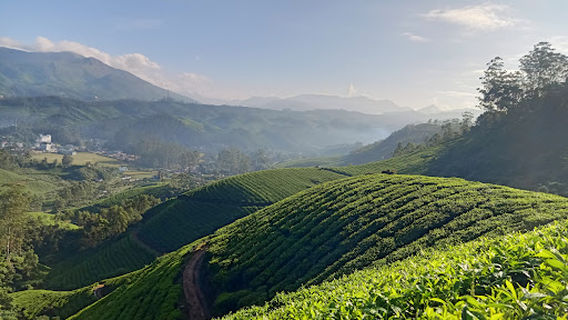 Green Munnar Trekking