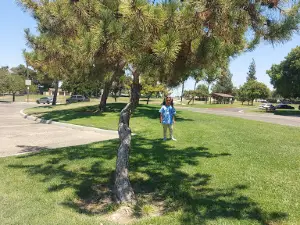 W. H. Shafer Park