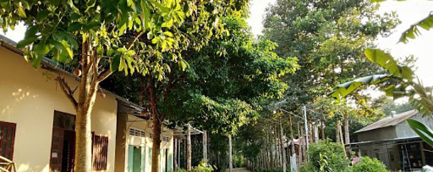 Thiền Tự Thường Tịch Quang