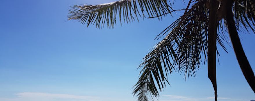 Mapols Beach Resort