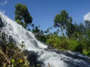 Mount Elgon Trekkers