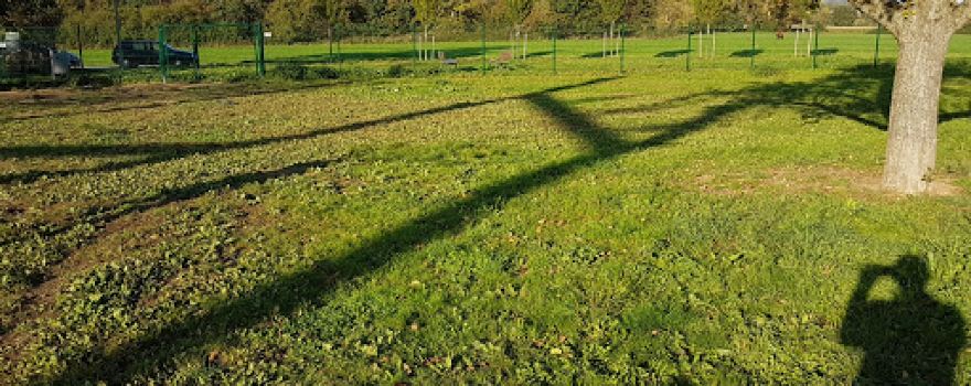Hunde-Freilaufgehege