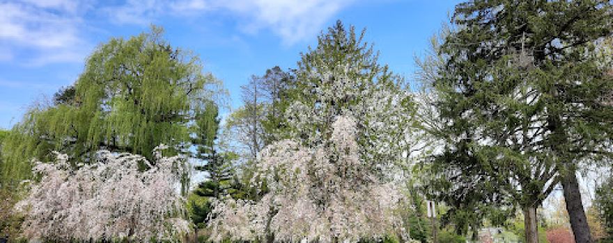 Cherry Lawn Park