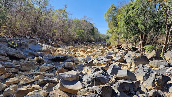 Réserve spéciale d’Ankarana