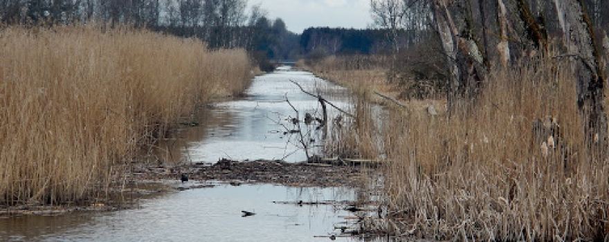 Kanzach
