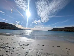Calgary Beach