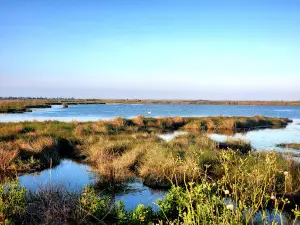 Pointe Aux Chenes Reserve Boat Launch
