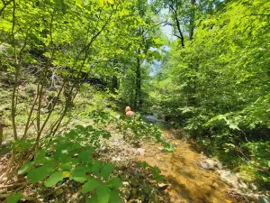 Crooked Creek Falls