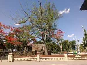 Victoria Town Park