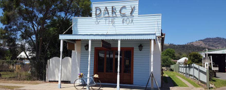 David Darcy Gallery