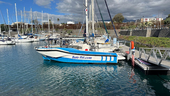 Le Port