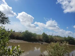 Sân Chim Chà Là