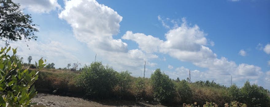 Sân Chim Chà Là