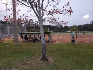 Gordo Dixie Youth Baseball & Softball