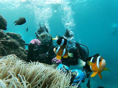 Seven Oceans Club