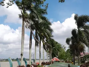 Batang Hari River