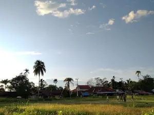 Lapangan Sepak Bola Miei