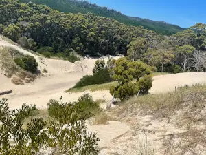 Henty Dunes