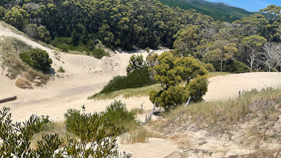 Henty Dunes