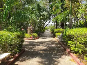 Padre Las Casas Central Park