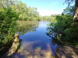 Biloxi River