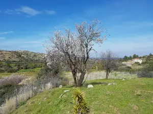 Church Panagia Galoktisti