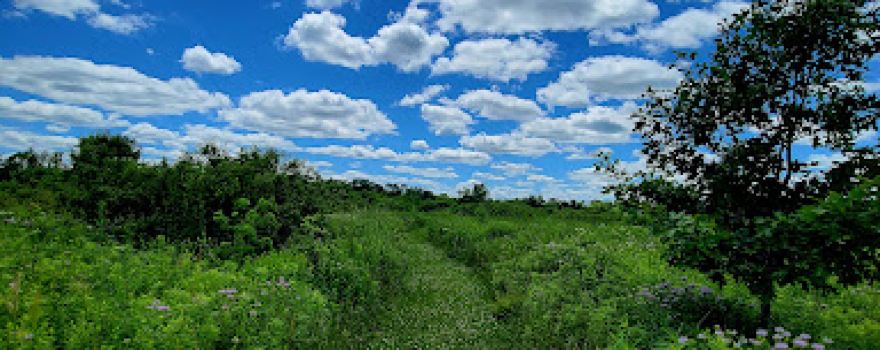 Заказник Сабат Форест