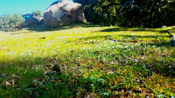 Parc national de Oued Zen