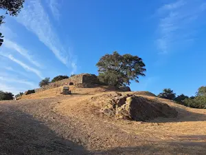 Castle of Cola
