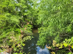Henry Beck Park