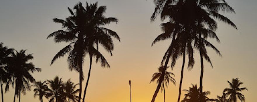 Beach Club Casa Amarela
