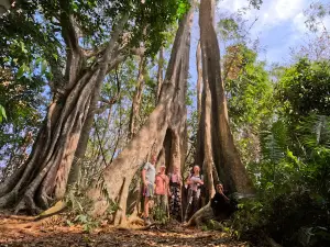 Mondulkiri Project Elephant Sanctuary