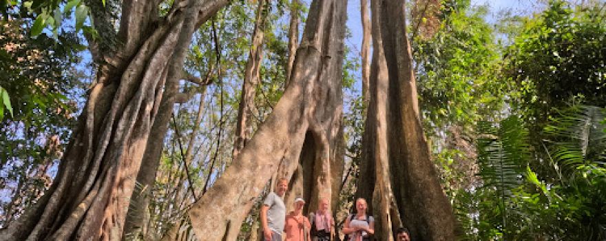 Mondulkiri Project Elephant Sanctuary