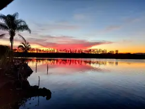 Presa Valencia