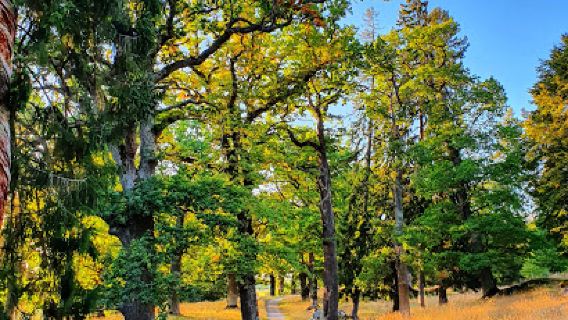 Gripsholm Deer Field Nature preserve
