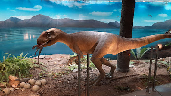 The Largest Dinosaur in the World - Patagotitan mayorum