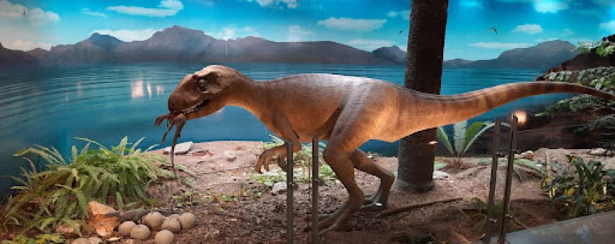 The Largest Dinosaur in the World - Patagotitan mayorum