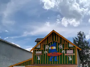 Mountain Sun Arts